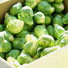 Make Better Brussels Sprouts