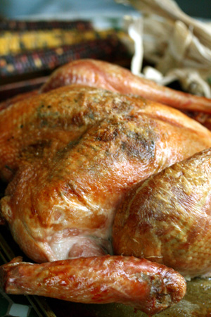thanksgiving day turkey