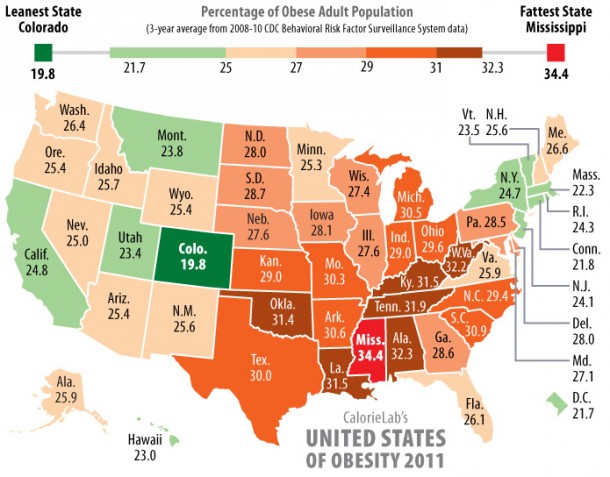 United States of Obesity (2011)
