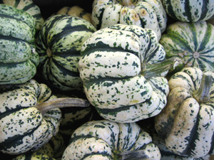 How To Cook With Green Pumpkins