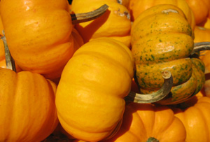 How To Cook With Pumpkin