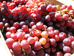 Grapes at the Farmer's Market