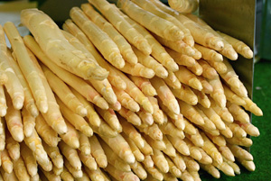 white asparagus in Germany