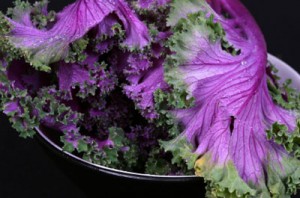 Purple Kale is a Superfood