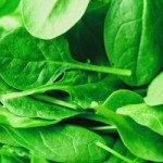 calcium rich spinach