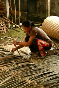 palm weaver